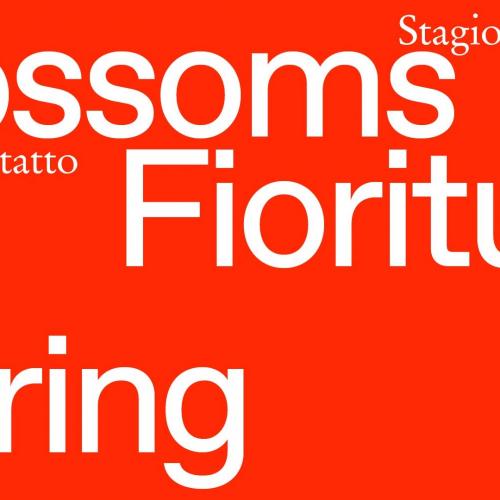 Vi aspettiamo gioved&igrave; 29 aprile ore 18 al Teatro Palamostre di Udine per scoprire Spring / Primavera 2021, la nuova Fioritura di Teatro Contatto / Blossoms, la nostra stagione lunga un anno