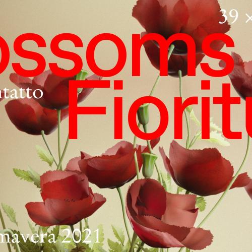 Edizione Spring 2021: la primavera di Teatro Contatto Blossoms / Fioriture rifiorisce con tre co produzioni CSS ideate e pensate per rivivere assieme la vita culturale in piena sicurezza