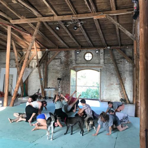 Open call per workshop e sessioni individuali con Barbara Berti per Dialoghi - Residenze a Villa Manin