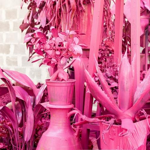 Luned&igrave; 4 settembre ore 18 al Palamostre di Udine presentazione della Stagione Teatro Contatto 41&rarr;42