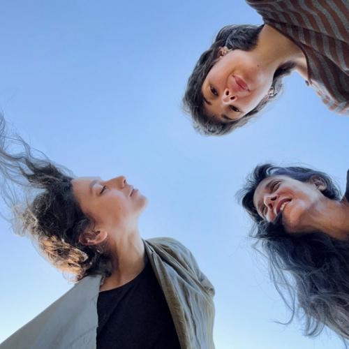 Cerchiamo persone interessate a partecipare a un pomeriggio di pratiche&nbsp;performative con Ateliersi&nbsp;per Dialoghi - Residenze a Villa Manin