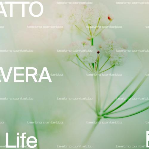 &Egrave; arrivata la nuova&nbsp;ContattoCard Primavera