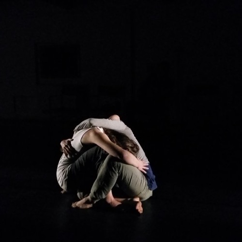 Dialoghi - Residenze delle Arti performative a Villa Manin di Passariano