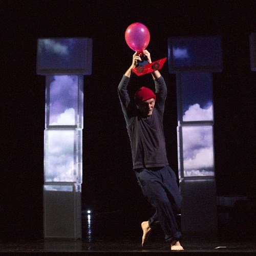 Sapore di sale<br />odissea di una sardina