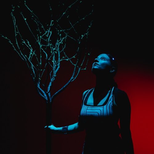 Earthbound<br />ovvero le storie delle Camille