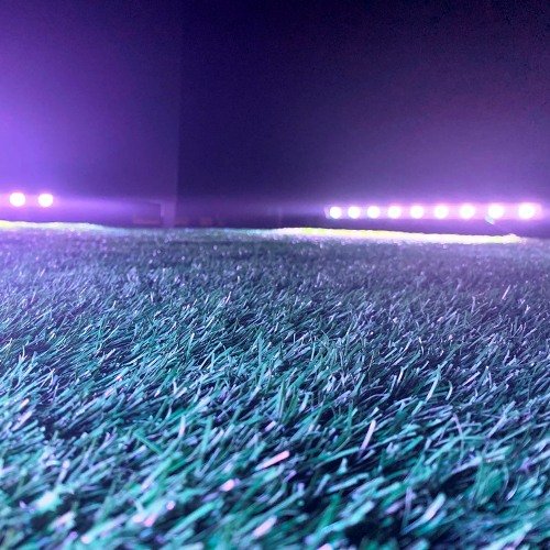 Nella solitudine dei campi di cotone