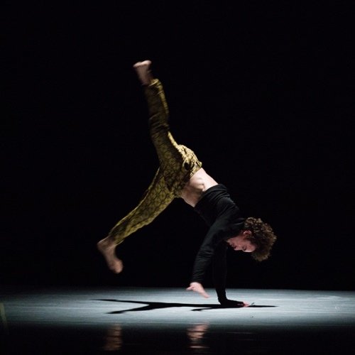 Compagnia Bellanda / Profumo d'acacia