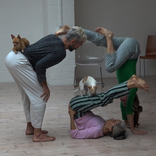 DOGOD / Barbara Berti