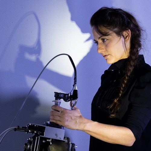 Corvidae. Sguardi di specie