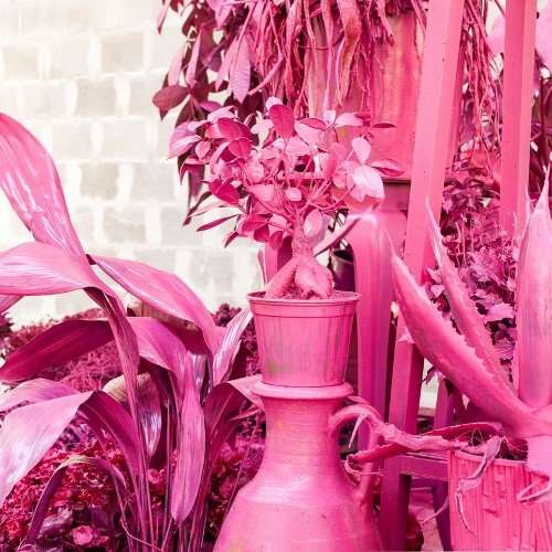 Giacomo Cossio / ControNatura