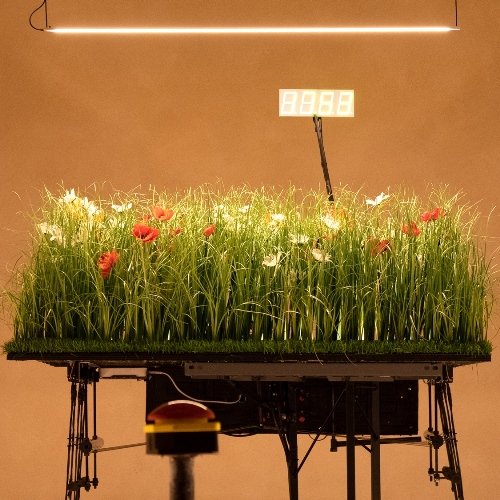 L'ora delle lucciole