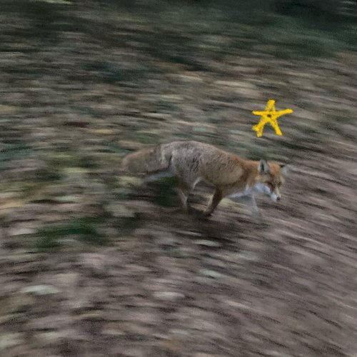 Francesca Osso/Gabriele Gerets Albanese / 17 Rue des Foss&eacute;s, Saint-Marcel