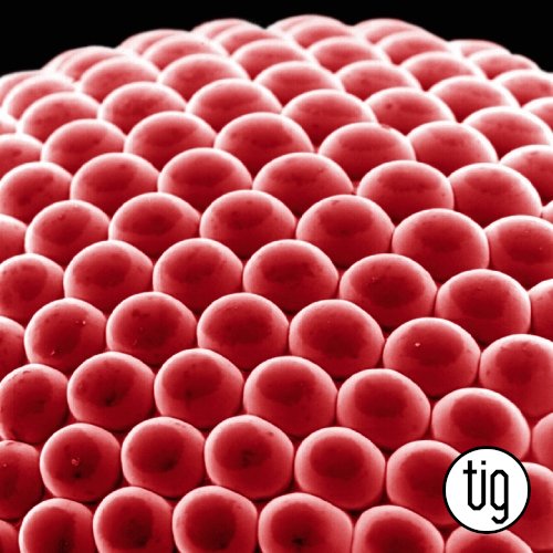 Progetto Infiniti &infin; - Bianca*neve e le 7 nanotecnologie