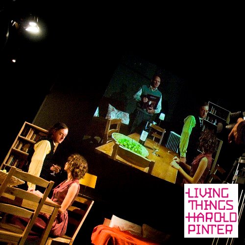 The Basement / Il seminterrato