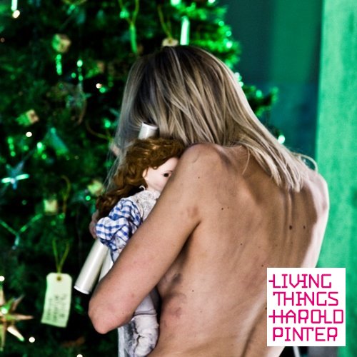 Pinter&rsquo;s Anatomy