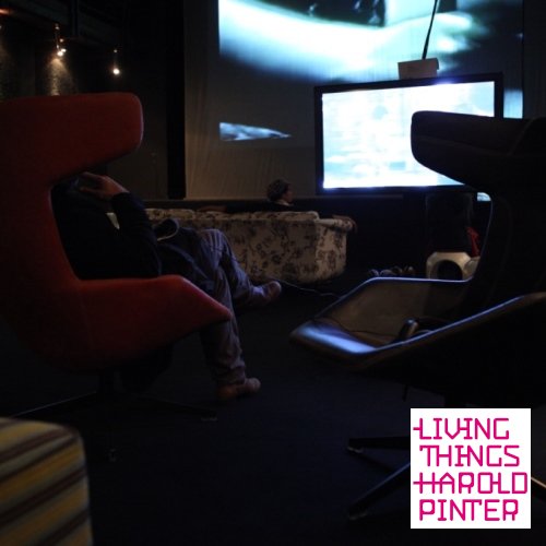 Pinter Video Lounge