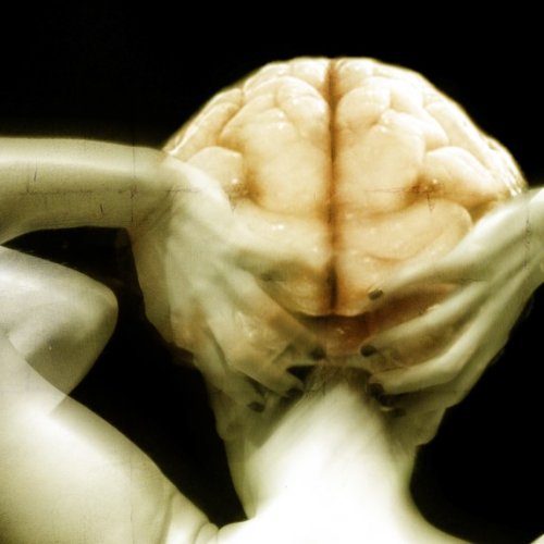 Organon<br>sull’ingombranza del pensiero