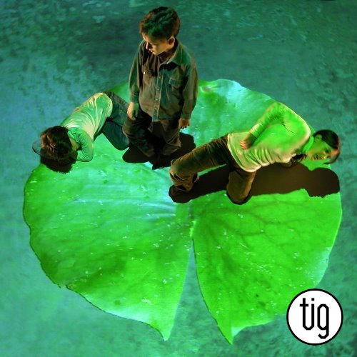 Il giardino d'Oriente