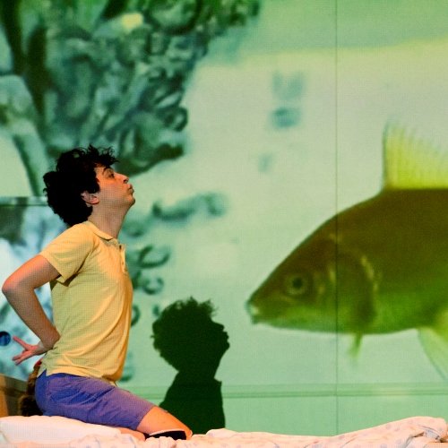 Fa&rsquo;afafine<br />Mi chiamo Alex e sono un dinosauro