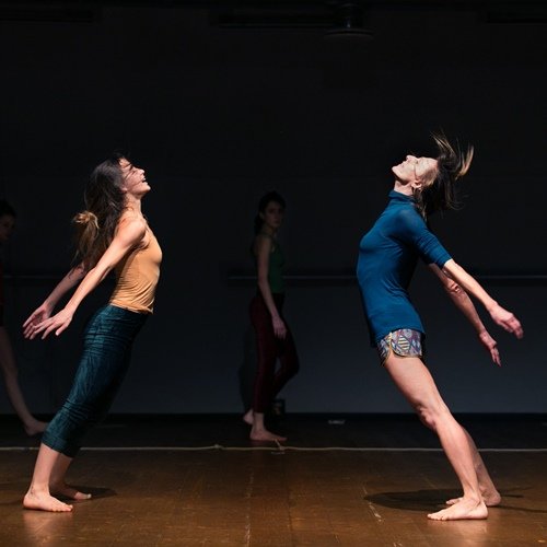 Animali senza favola / Simona Bertozzi