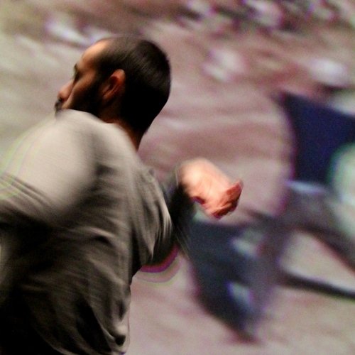 Archive / Arkadi Zaides